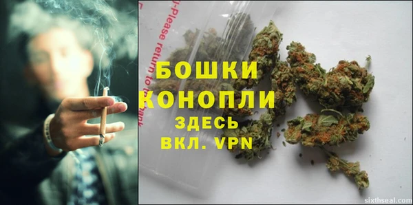 ПСИЛОЦИБИНОВЫЕ ГРИБЫ Киреевск
