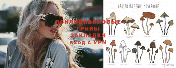 jwh Козельск